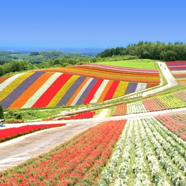 北海道