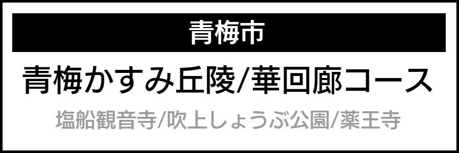 バリアフリー情報が記載されたマップ