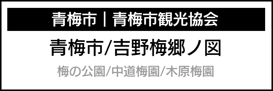 バリアフリー情報が記載されたマップ