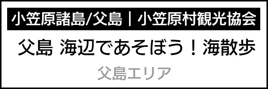 バリアフリー情報が記載されたマップ