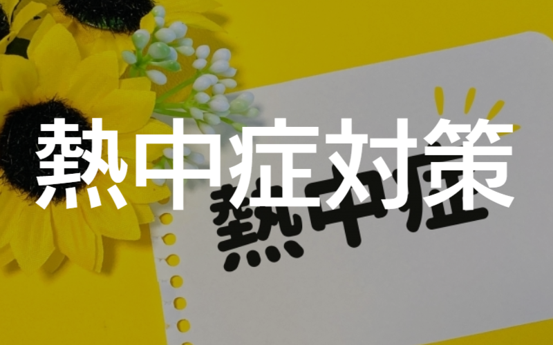 要介護高齢者及び車いす利用者の熱中症対策